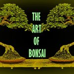 Art of Bonsai Tree