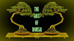 Art of Bonsai Tree