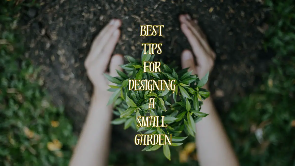 14 Best Tips for Designing a Small Garden