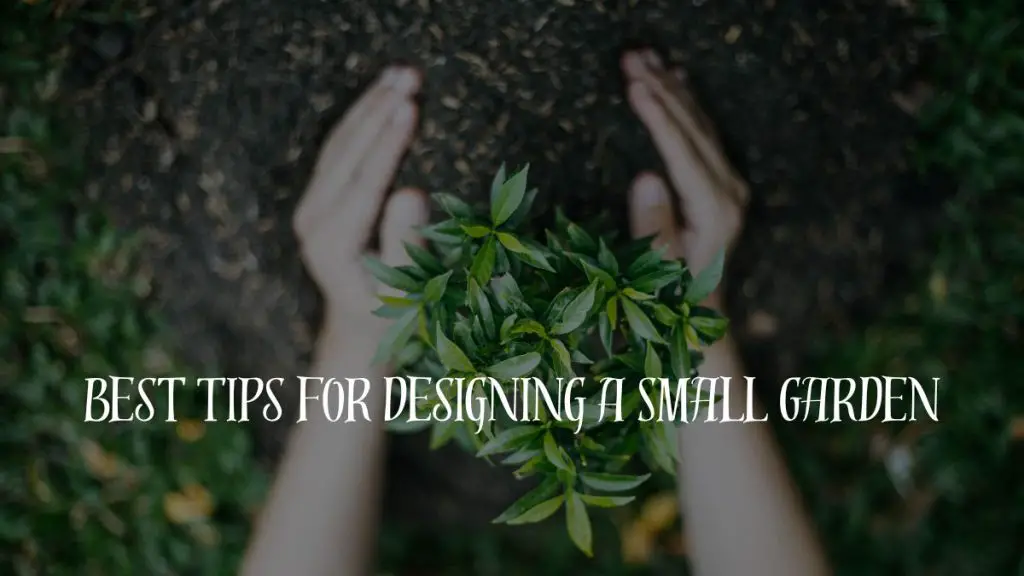 Tips For Designing A Small Garden