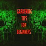 gardening tips and tricks