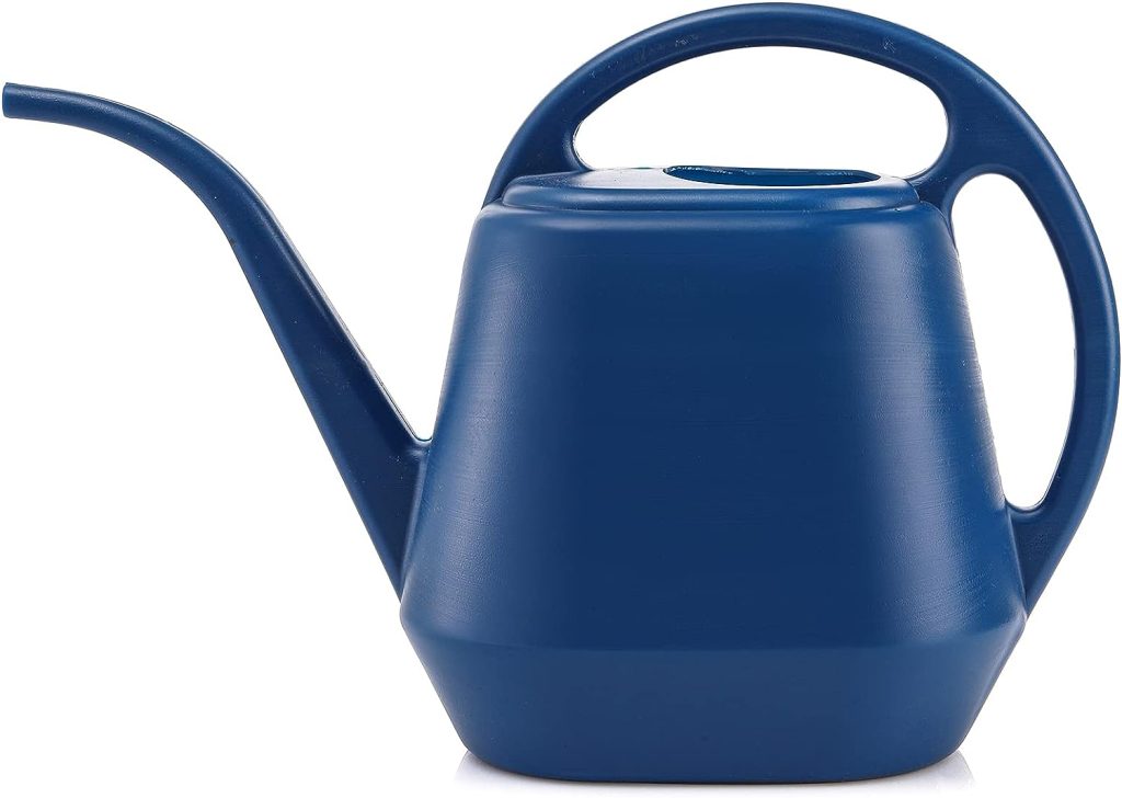 Fasmov 4 Litre Watering Can for Bonsai Plant (Blue)