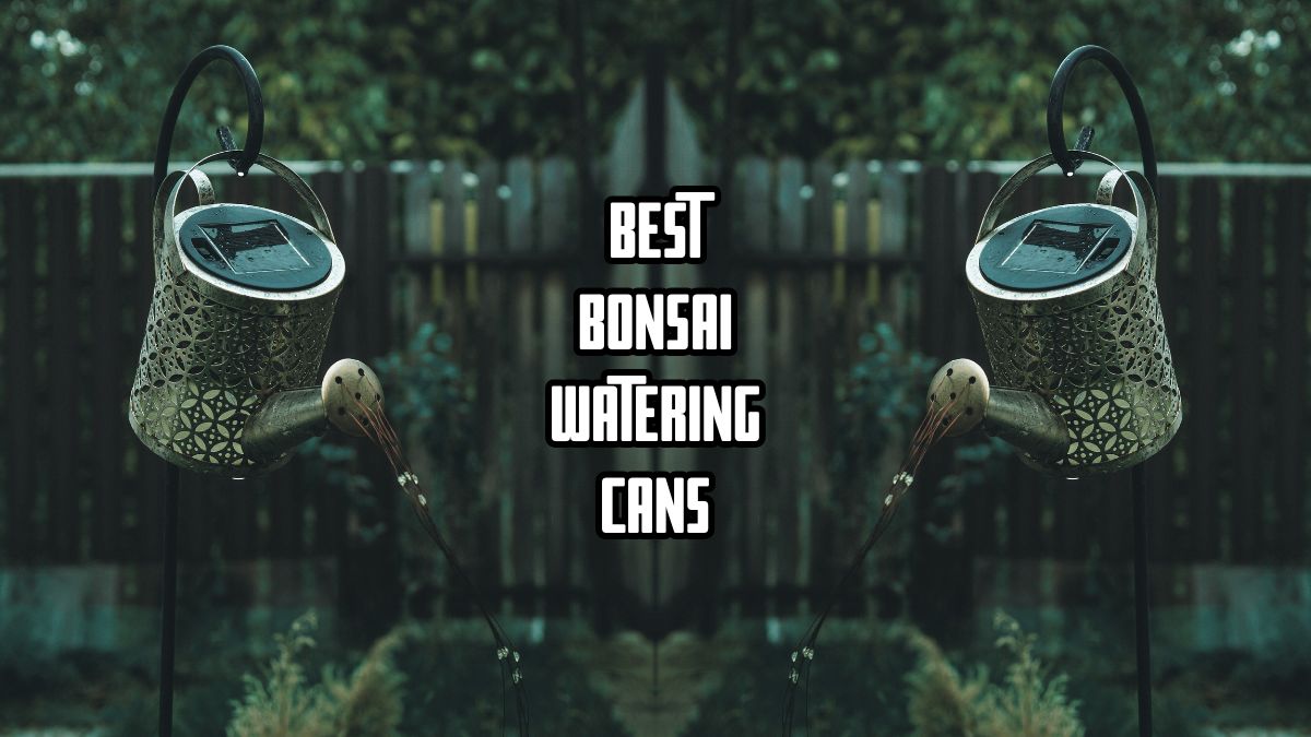 bonsai watering cans