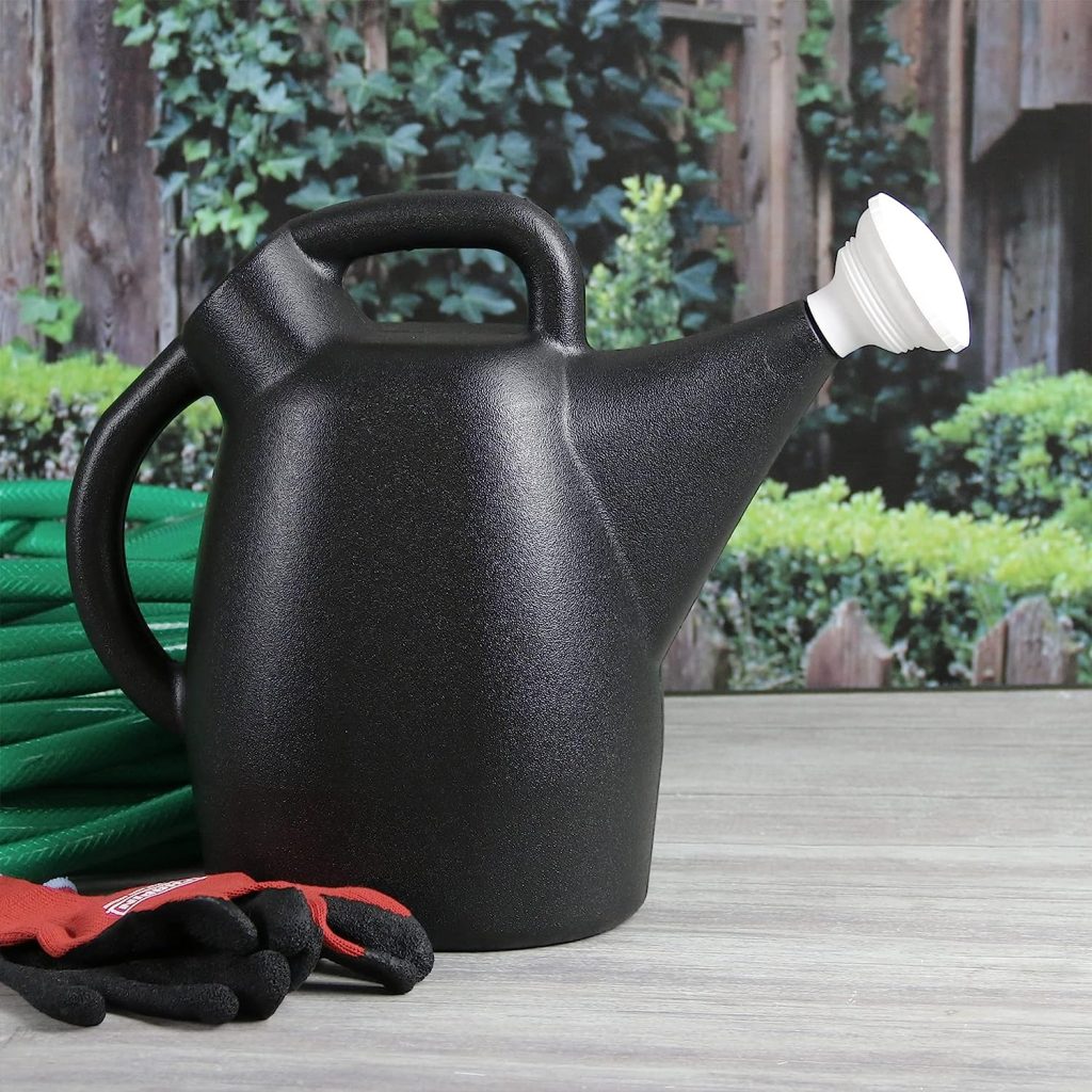 chapin Recycled Plastic Watering Can