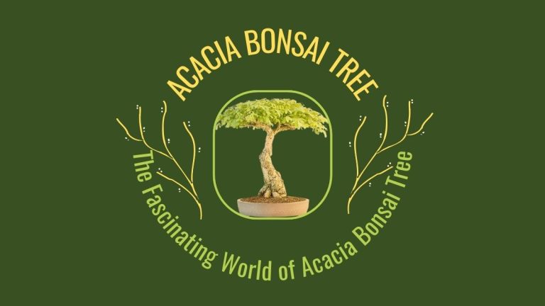 The Fascinating World of Acacia Bonsai Tree