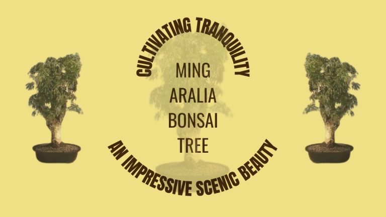 Ming Aralia Bonsai Trees: A Unique Addition to Your Garden