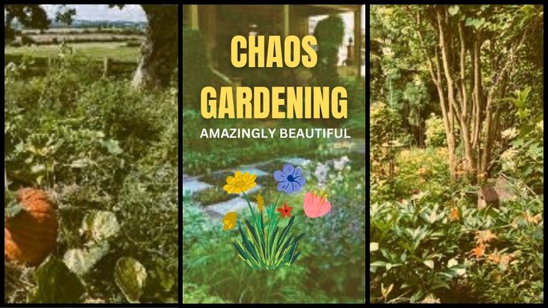 The Art of Chaos Gardening: A Unique Approach Gardening