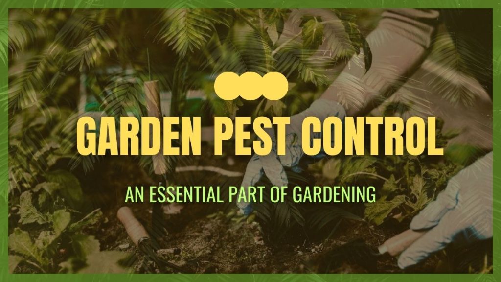 garden pest control