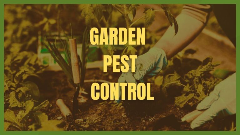A Comprehensive Guide to Garden Pest Control Makes Garden Beautiful