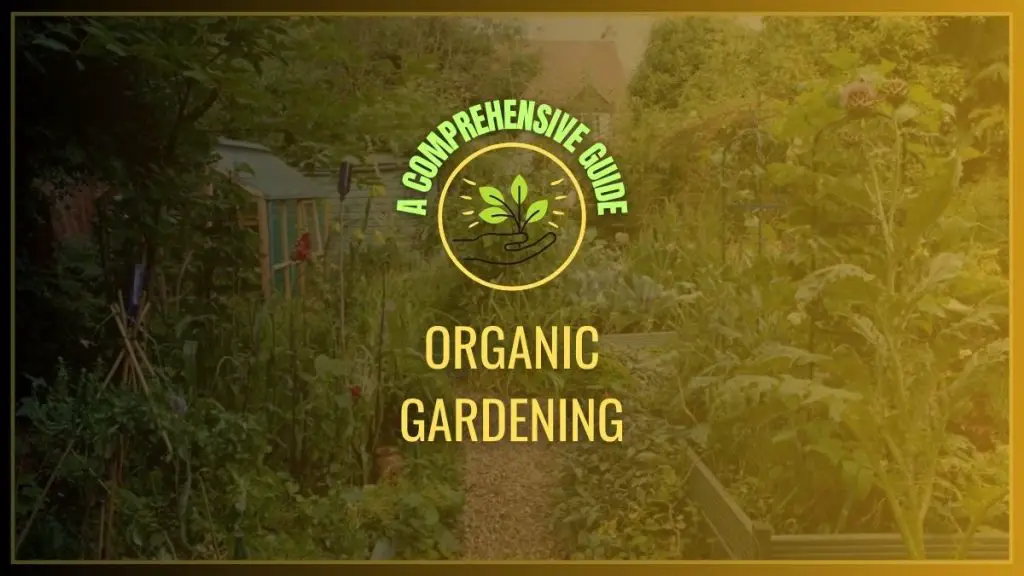 organic garden