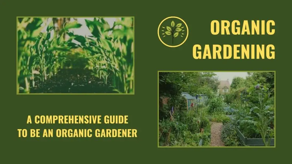 organic gardening