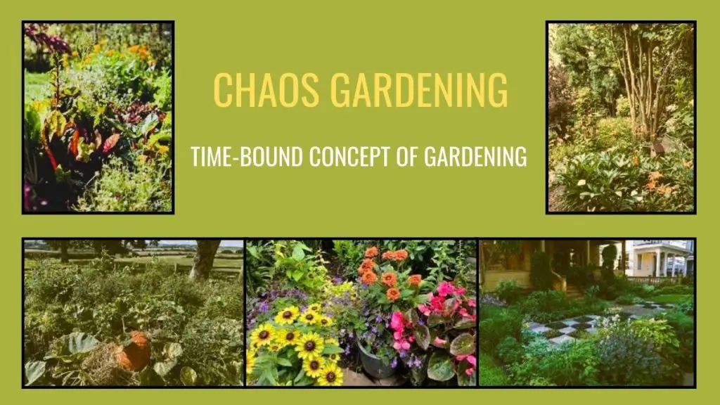 the art of chaos gardening