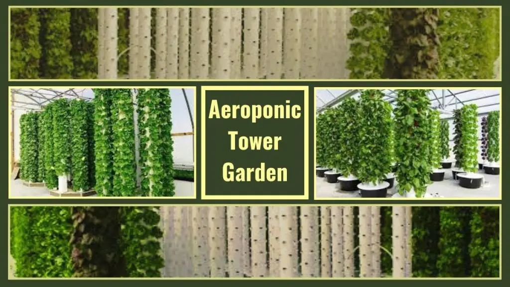 Aeroponic Tower Gardens