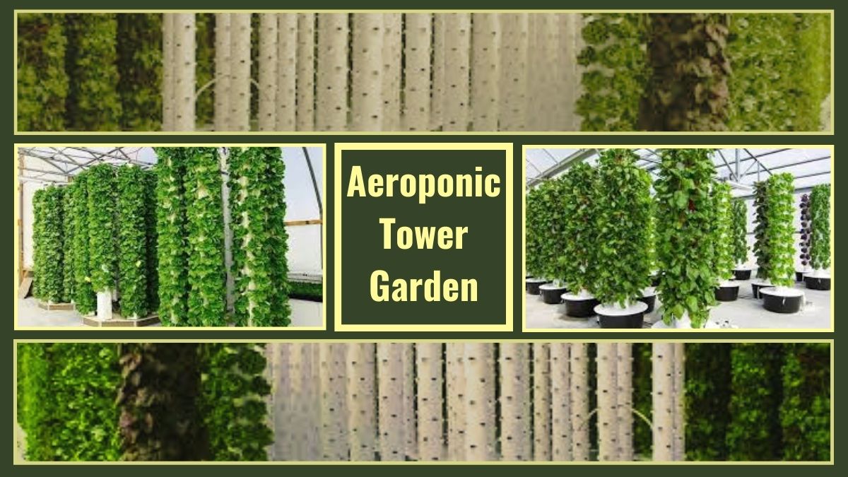 Aeroponic Tower Gardens