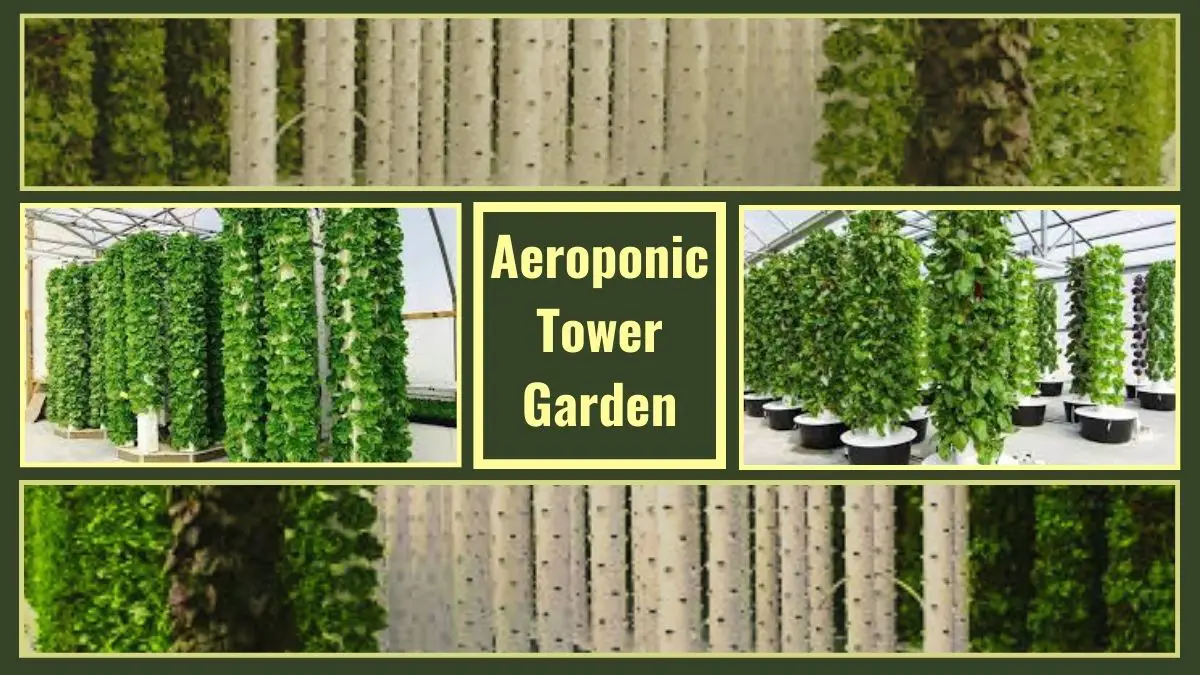 Aeroponic Tower Gardens