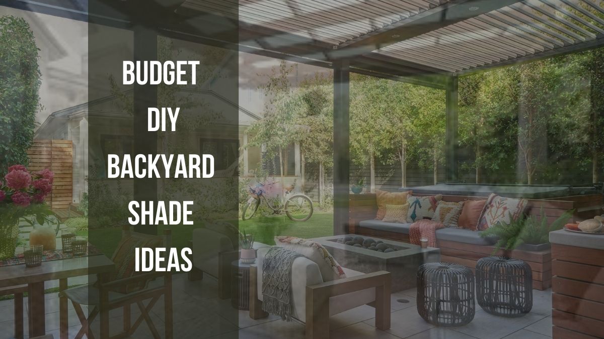 Budget DIY Backyard Shade Ideas Youll Love - Dwell Gardens