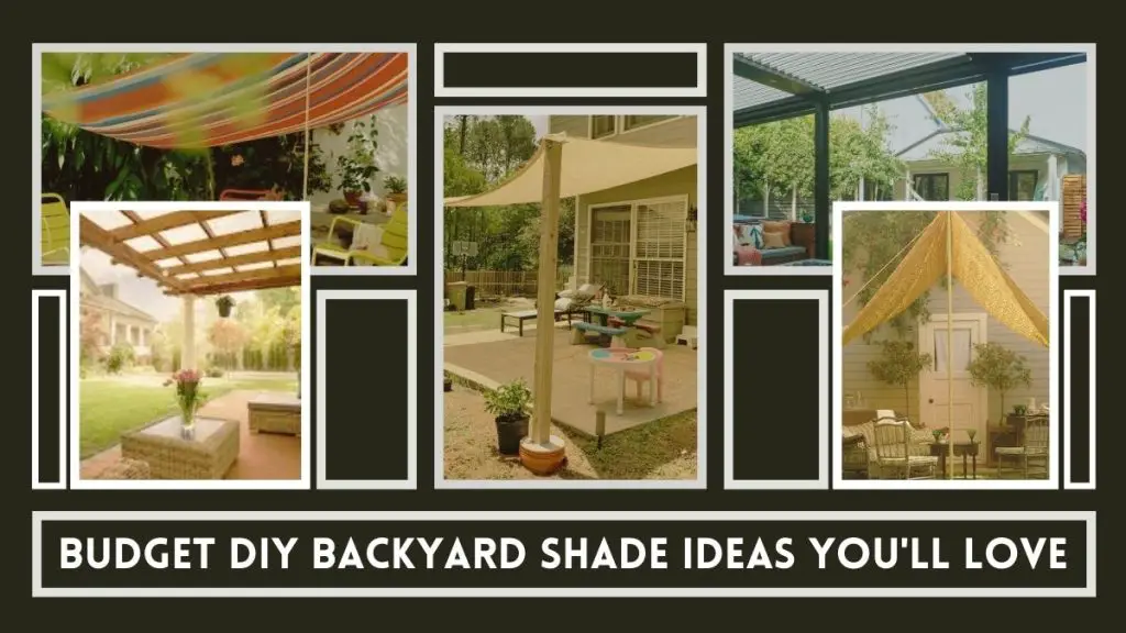 Budget DIY Backyard Shade Ideas