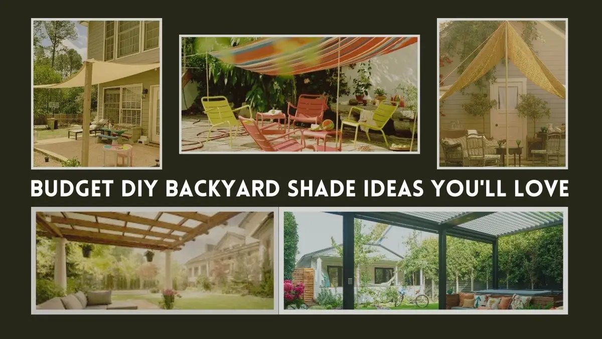 Budget DIY Backyard Shade Ideas You'll Love Dwell Gardens