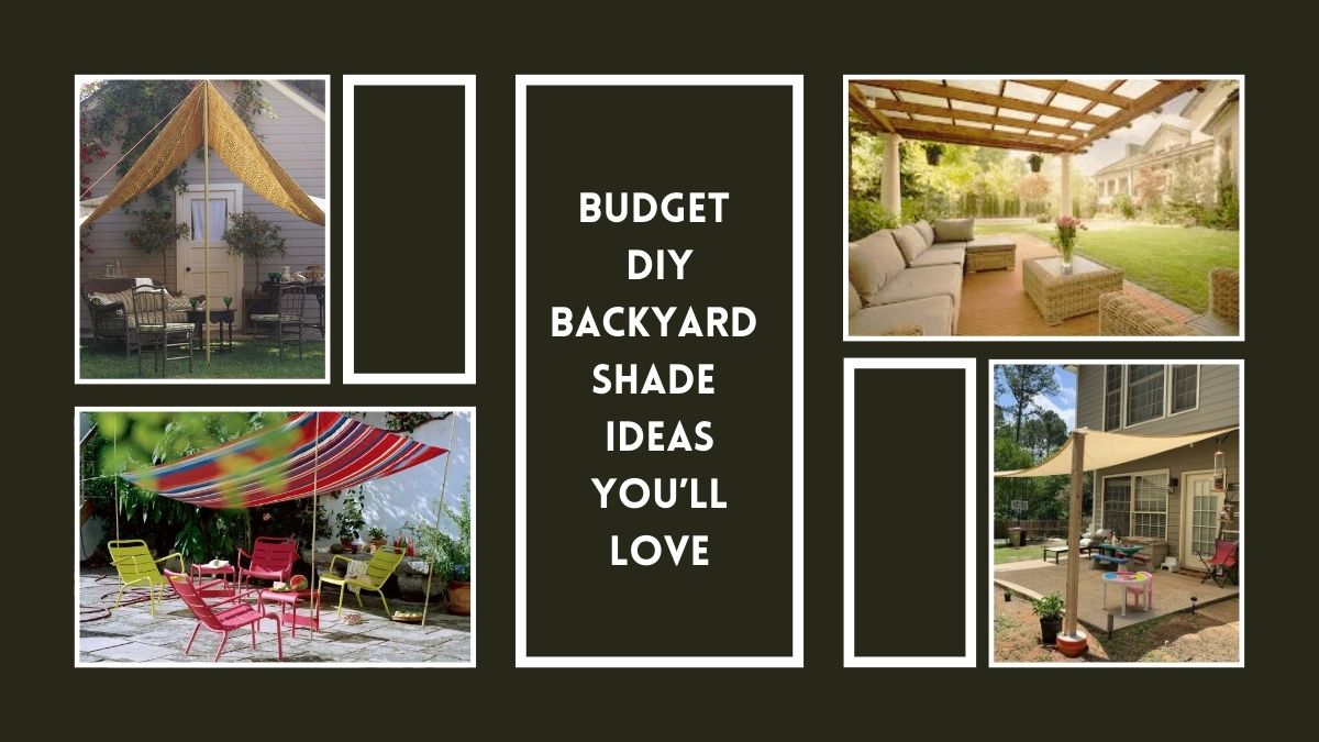 DIY Backyard Shade Ideas