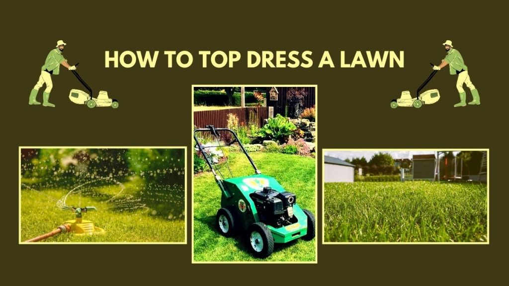 How to top dress a large lawn