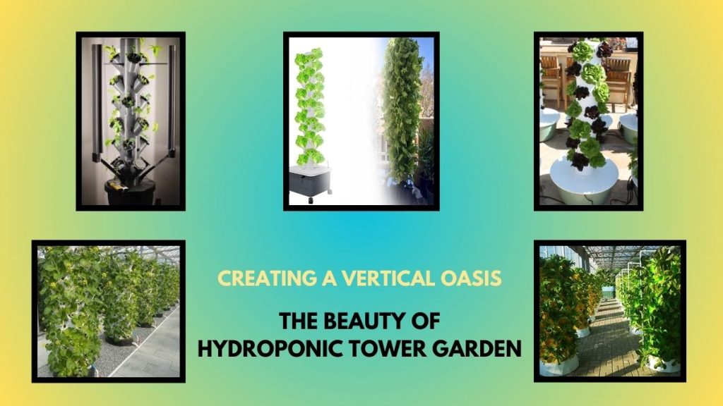 Hydroponic Tower Gardening