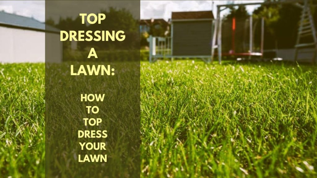 top dressing a lawn