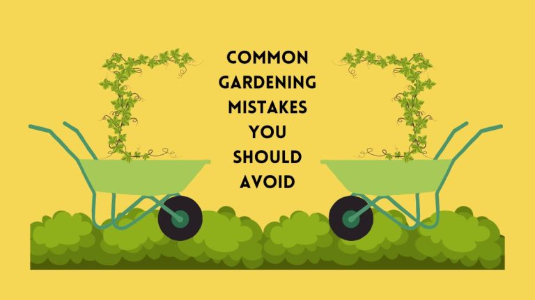 The Top 10 Common Gardening Mistakes You Should Avoid