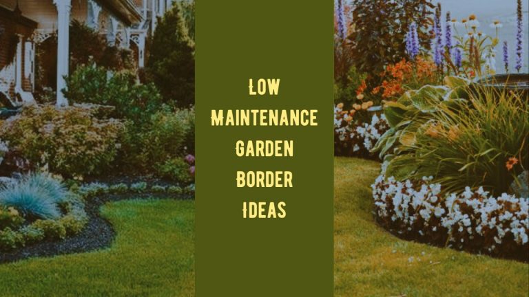 Low Maintenance Garden Border Ideas: A Complete Guide to Know