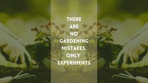 gardening mistake