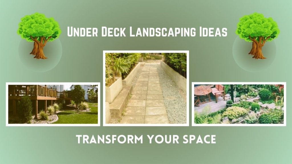 Under Deck Landscaping Ideas