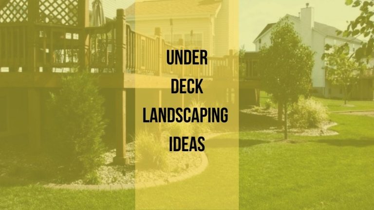 Under Deck Landscaping Ideas to Decorate: Transform Your Space!
