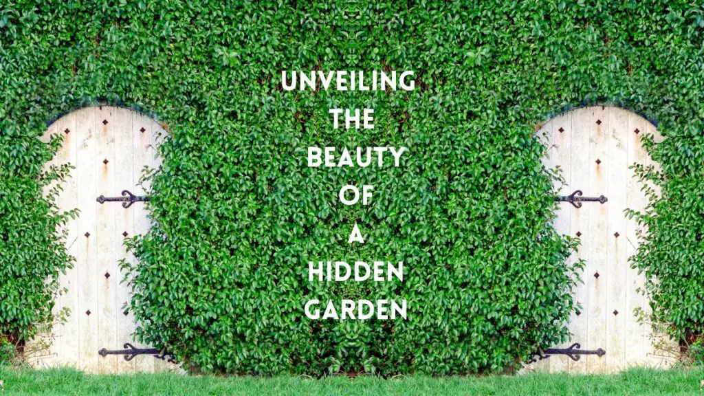 Beauty of a Hidden Garden