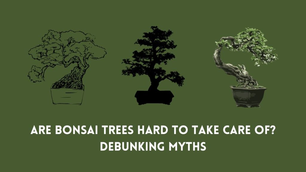 Bonsai Take Care