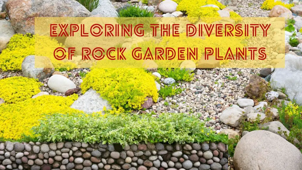 Diversity of Rock Garden Plants