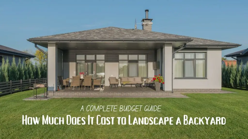 How Much Does It Cost to Landscape a Backyard