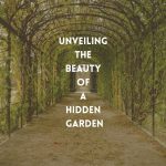 The Beauty Hidden Garden