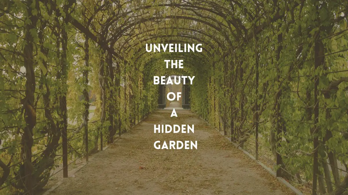 The Beauty Hidden Garden