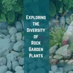 Versatility of Rock Garden Plants