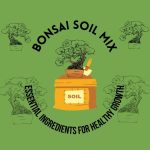 Bonsai Soil