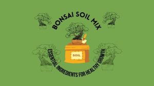 Bonsai Soil