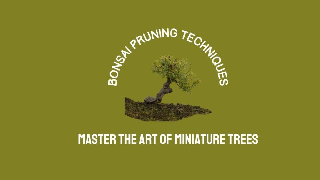 Bonsai Pruning