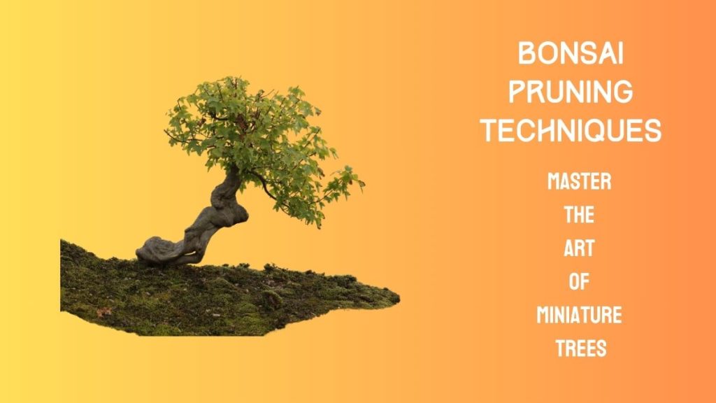 Bonsai Pruning Techniques