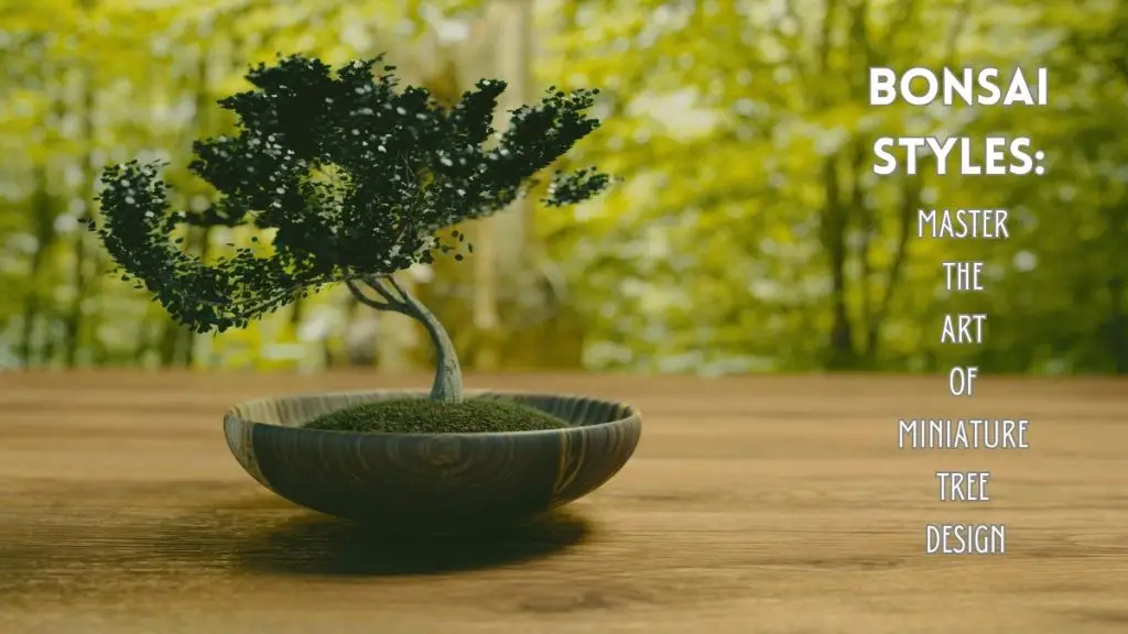 Bonsai Styles