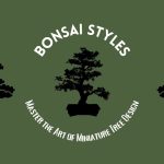 The Bonsai Styles