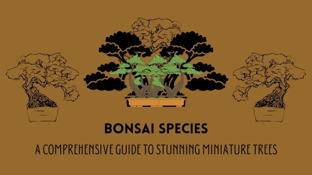 Versatile Bonsai Species