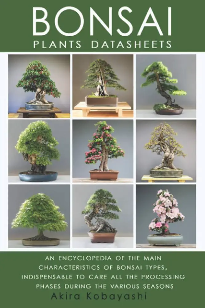 Bonsai Species: A Comprehensive Guide to Stunning Miniature Trees