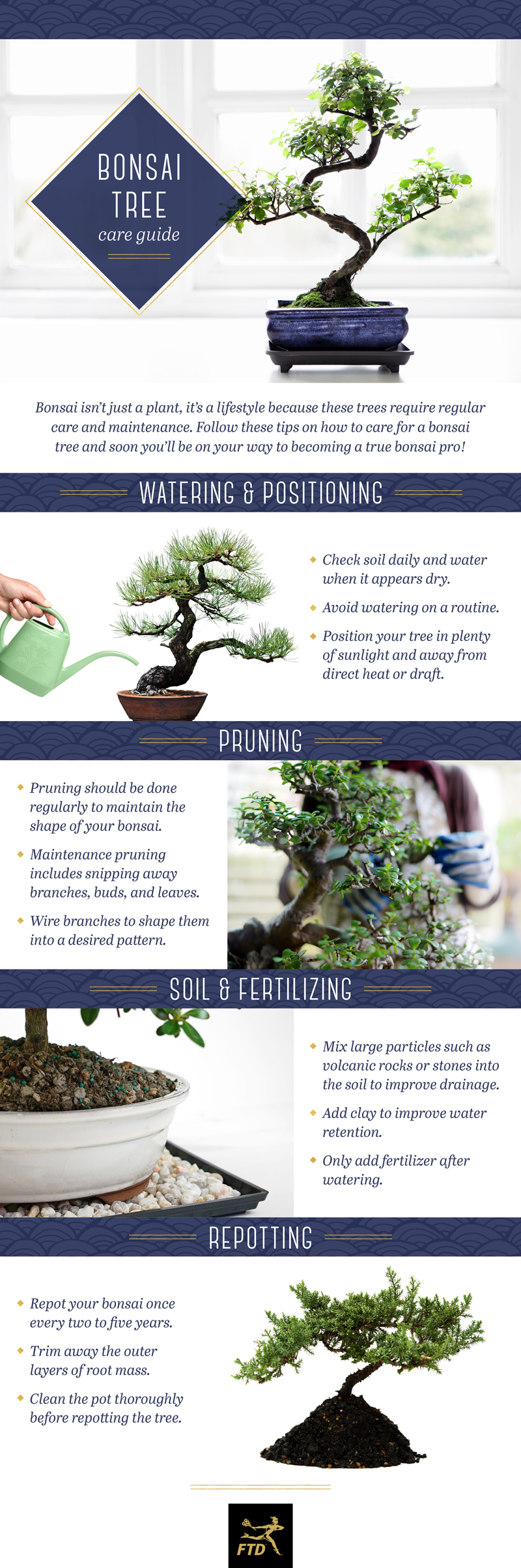 Bonsai Pruning Techniques: Master the Art of Miniature Trees