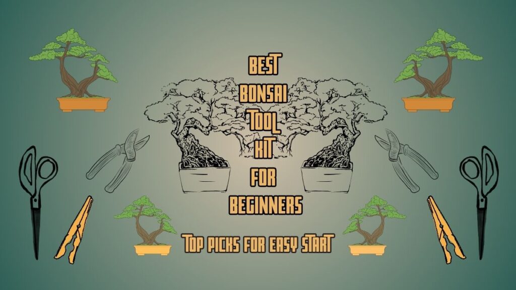 Best Bonsai Tool Kit
