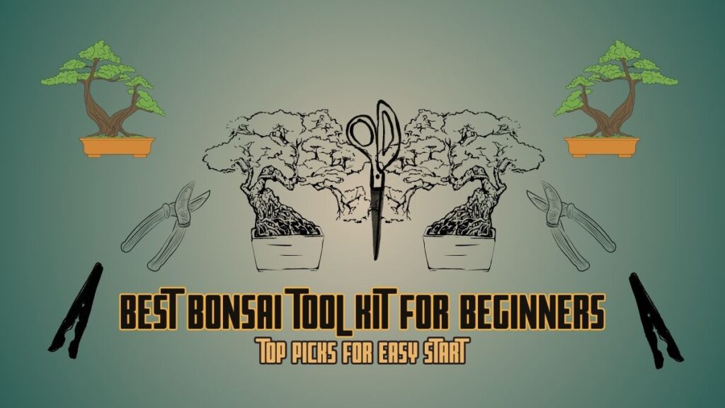 Best Bonsai Tool Kit for Beginners
