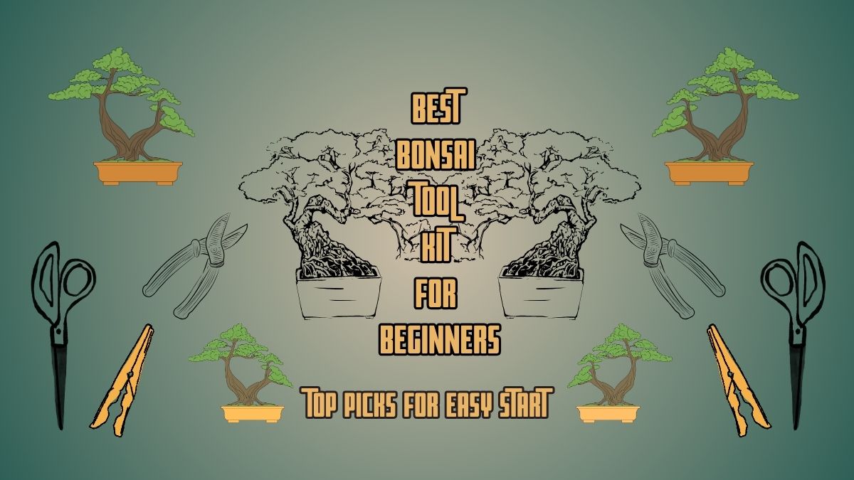 Best Bonsai Tool Kit